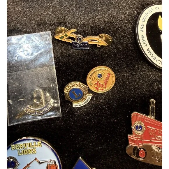 Vintage Lot of 23+ Lions Club Lapel Pins Miscellaneous From Various States - Picture 9 of 12